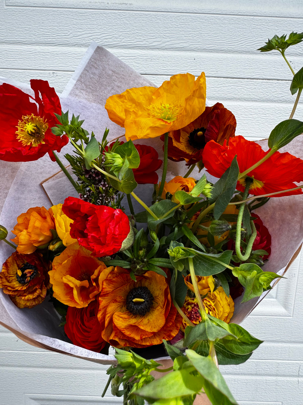 Tecolote Cafe Ranunculus (10 corms)