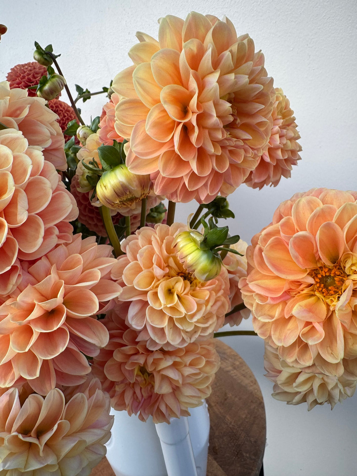 A bouquet of Crichton Honey dahlias.