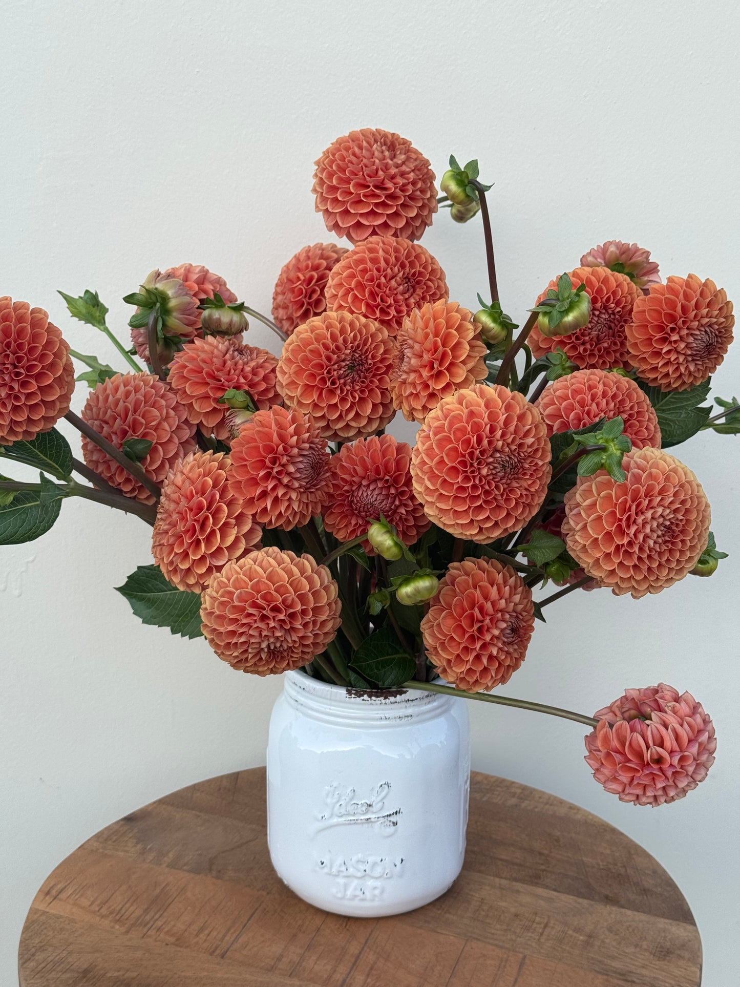 A bouquet of Cornel Bronze dahlias with orange petals and hints of gold at the tips.