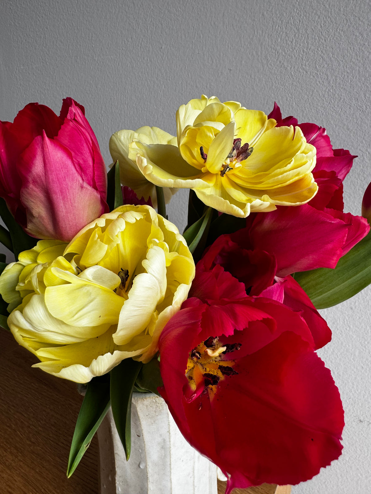 Lady Van Eijk Tulips (10 bulbs)