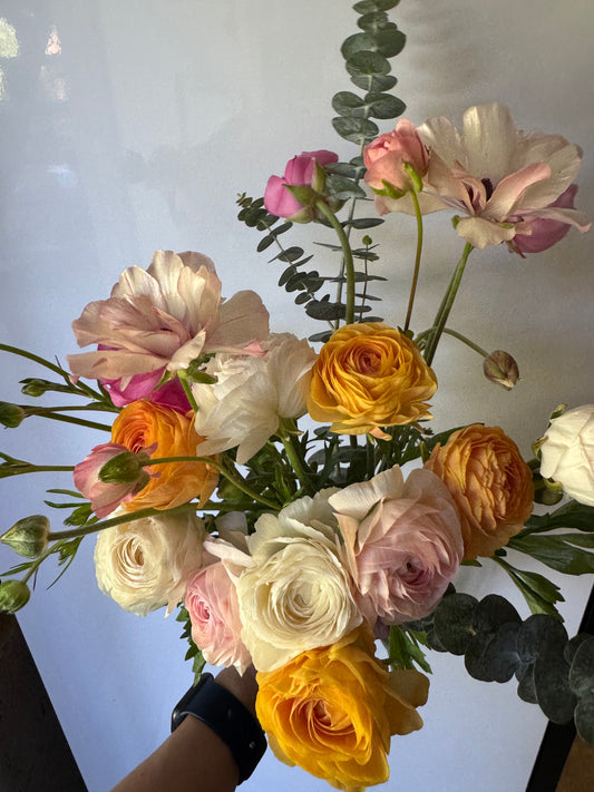 Romance Ranunculus Mix (10 corms)