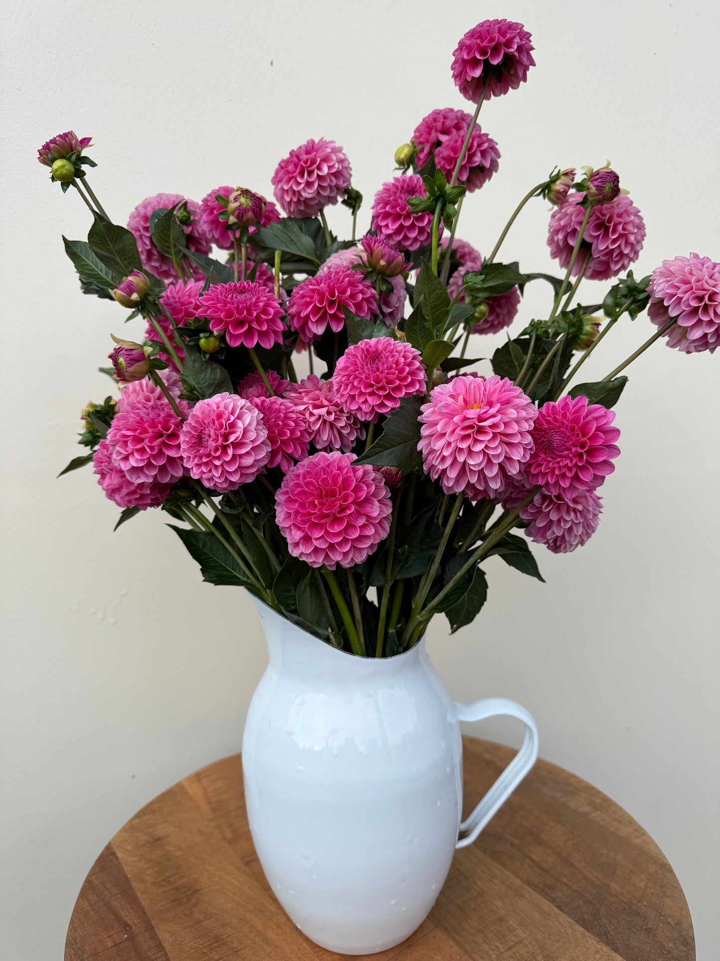 Bouquet of pink Rebecca Lynn dahlias in a white vase on a wooden surface.