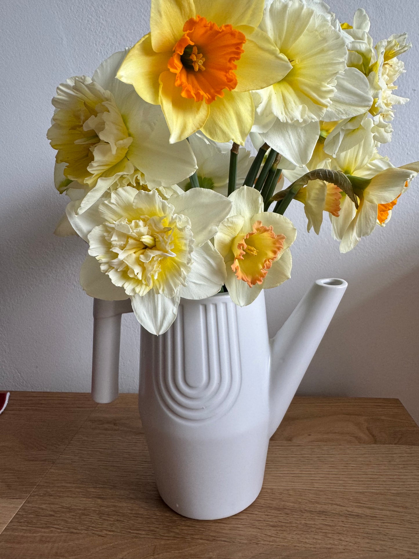 Mixed bundle of daffodils (20 bulbs)