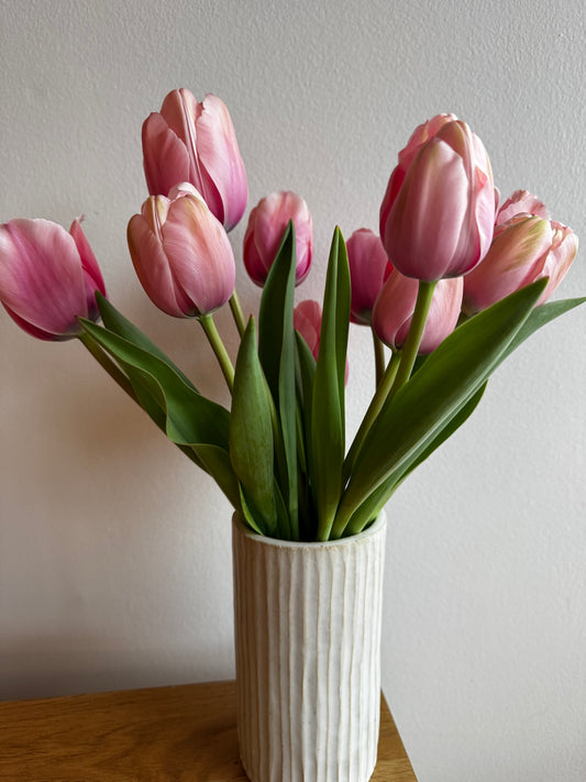 Salmon Impression Tulips (10 bulbs)