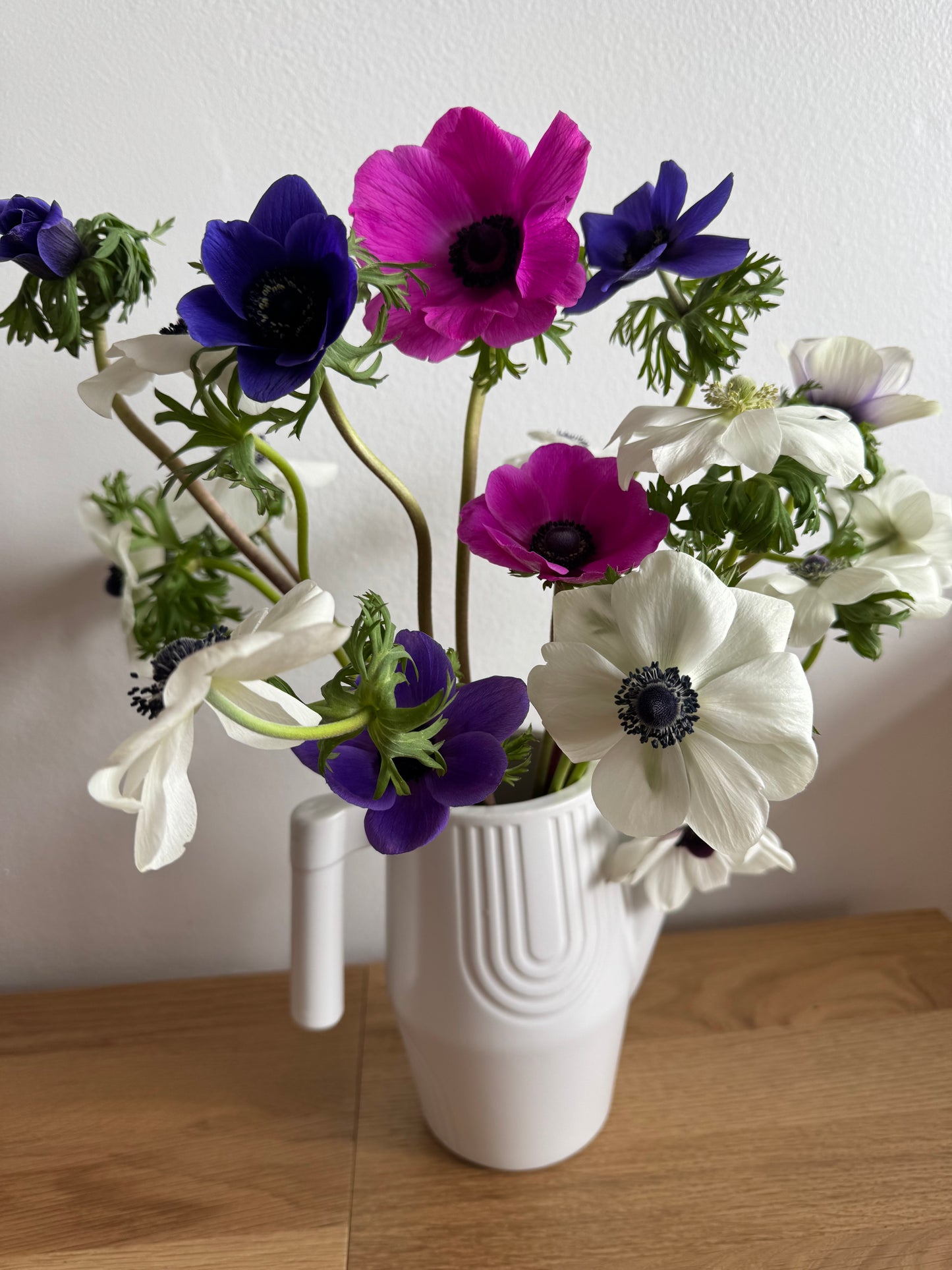 BLACK FRIDAY PRICE: Anemones - bundle of mixed colors (25 corms)