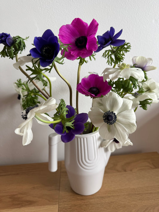 Anemones - mix of colors (10 corms)