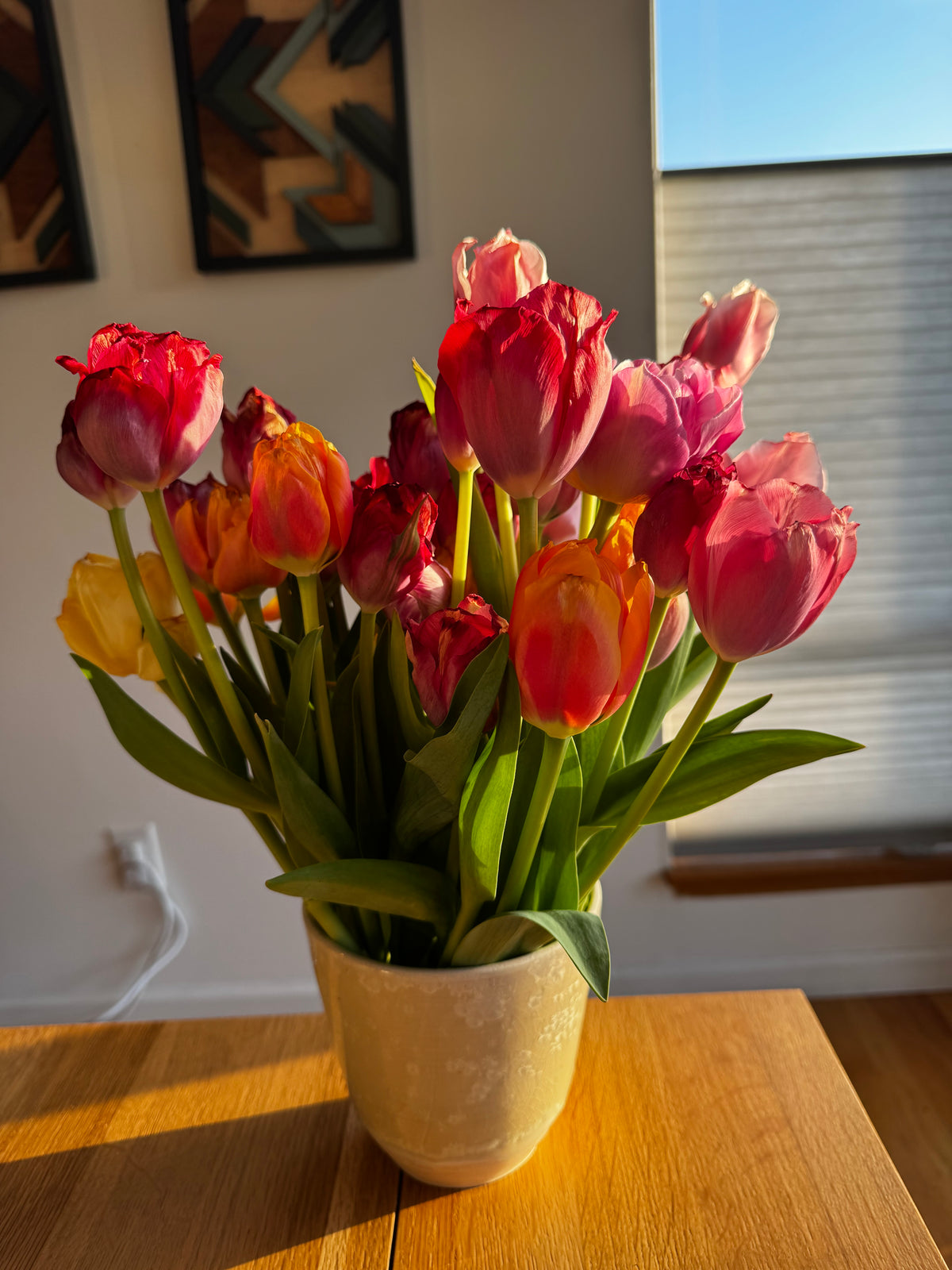 Mixed bundle of tulips (25 bulbs)