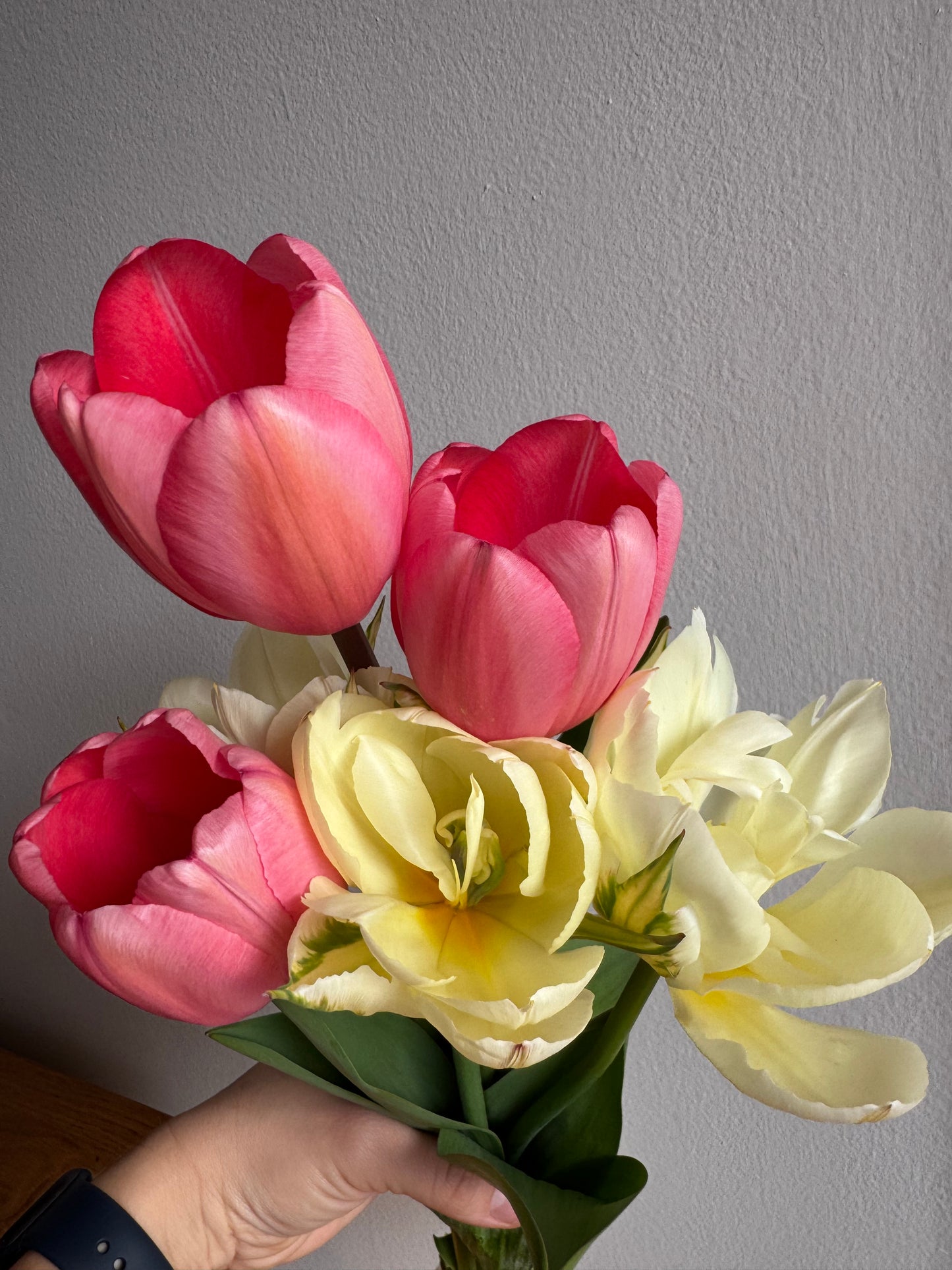 Exotic Emperor (10 bulbs)