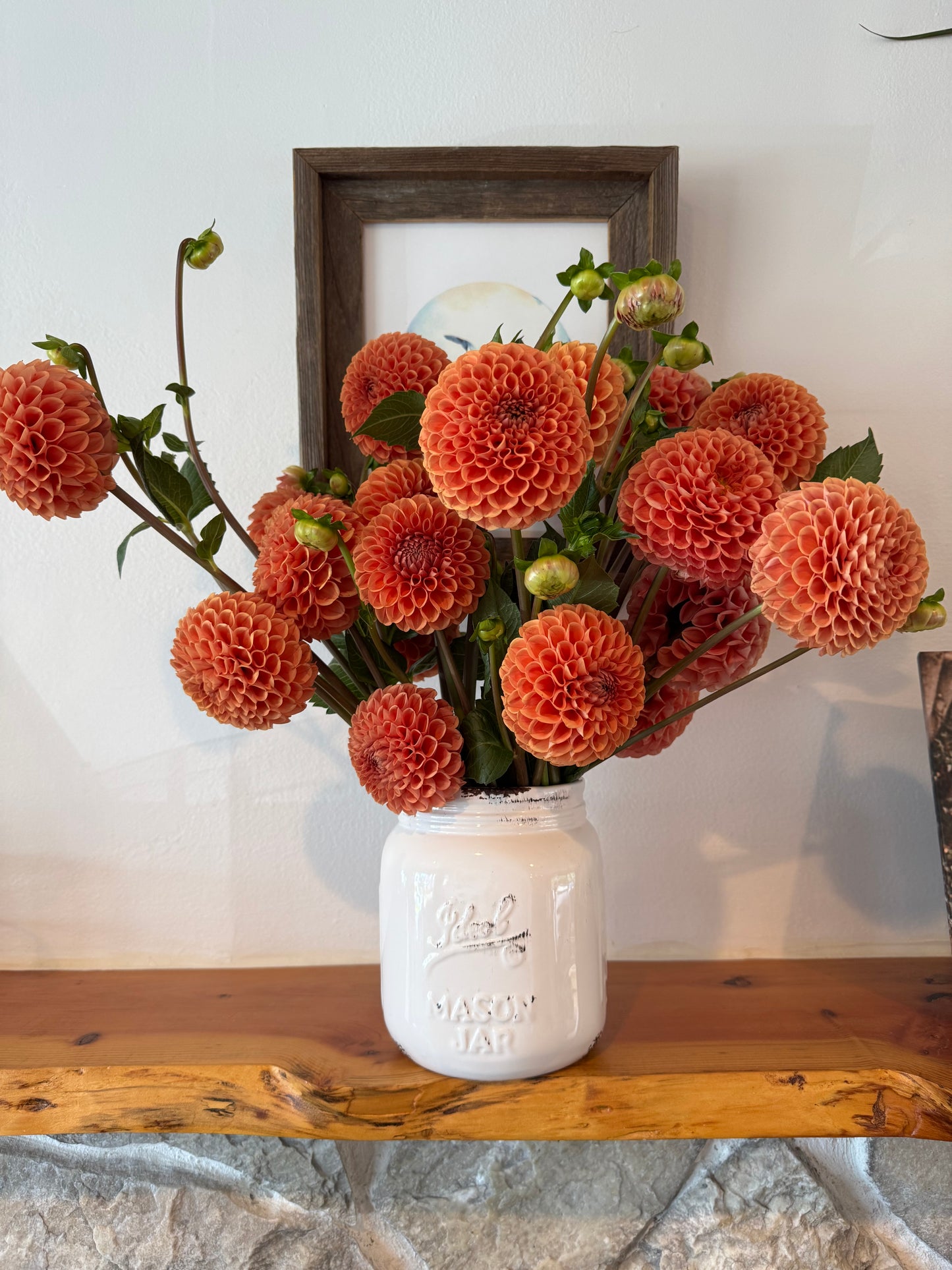 A bouquet of Cornel Bronze dahlias.