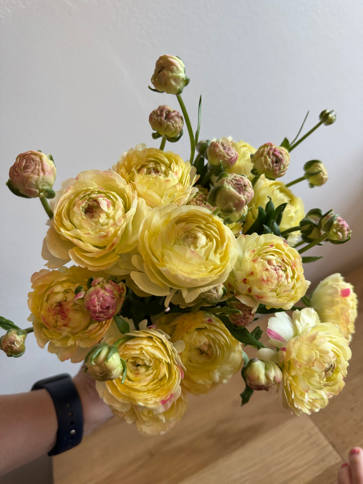 Romance Hydra Ranunculus (5 corms)