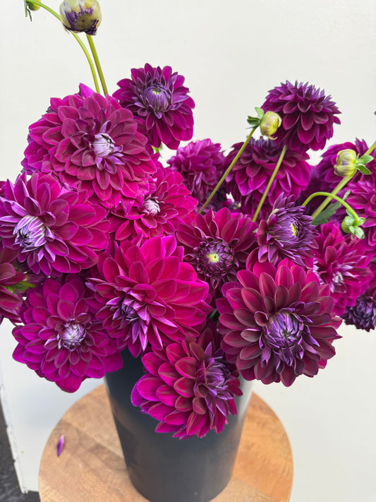 Bouquet of purple and pink flowers on a white background
