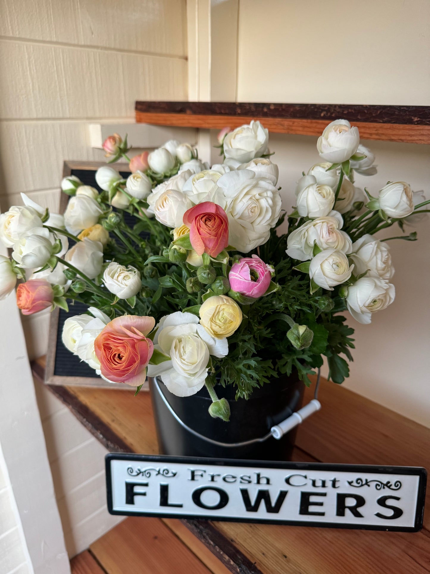 BLACK FRIDAY BUNDLE: Ranunculus mix (50 corms)