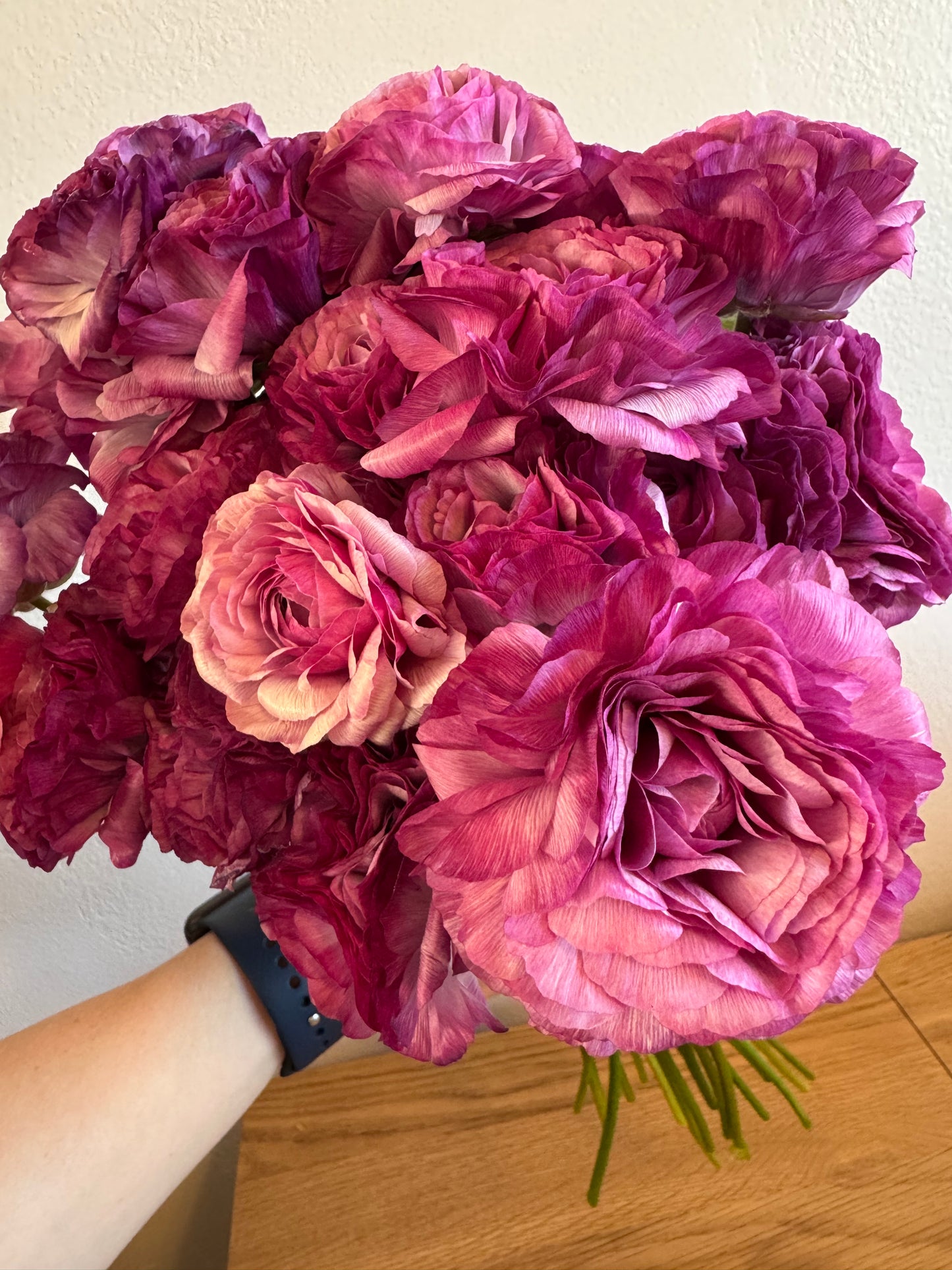 BUNDLE: Romance Ranunculus - Loubeyres, Courchevel, Seine, Salerno and Nohant (25 corms)
