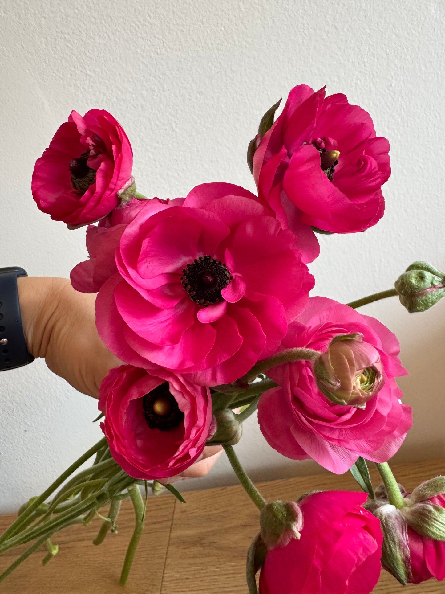 Ranunculus pink mix (10 corms)