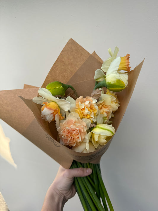 Mixed bundle of daffodils (20 bulbs)