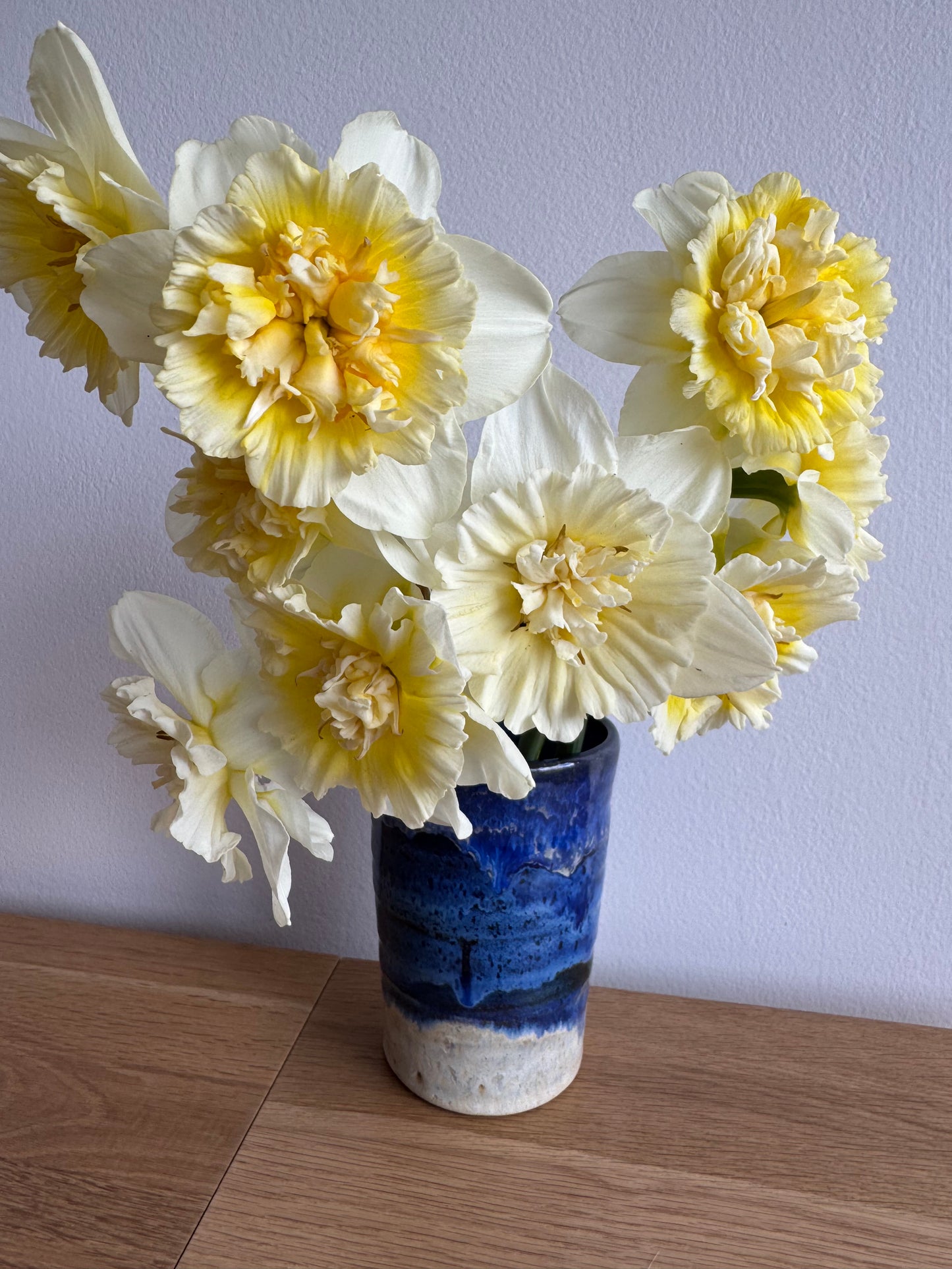 Daffodil - Ice King (10 bulbs)
