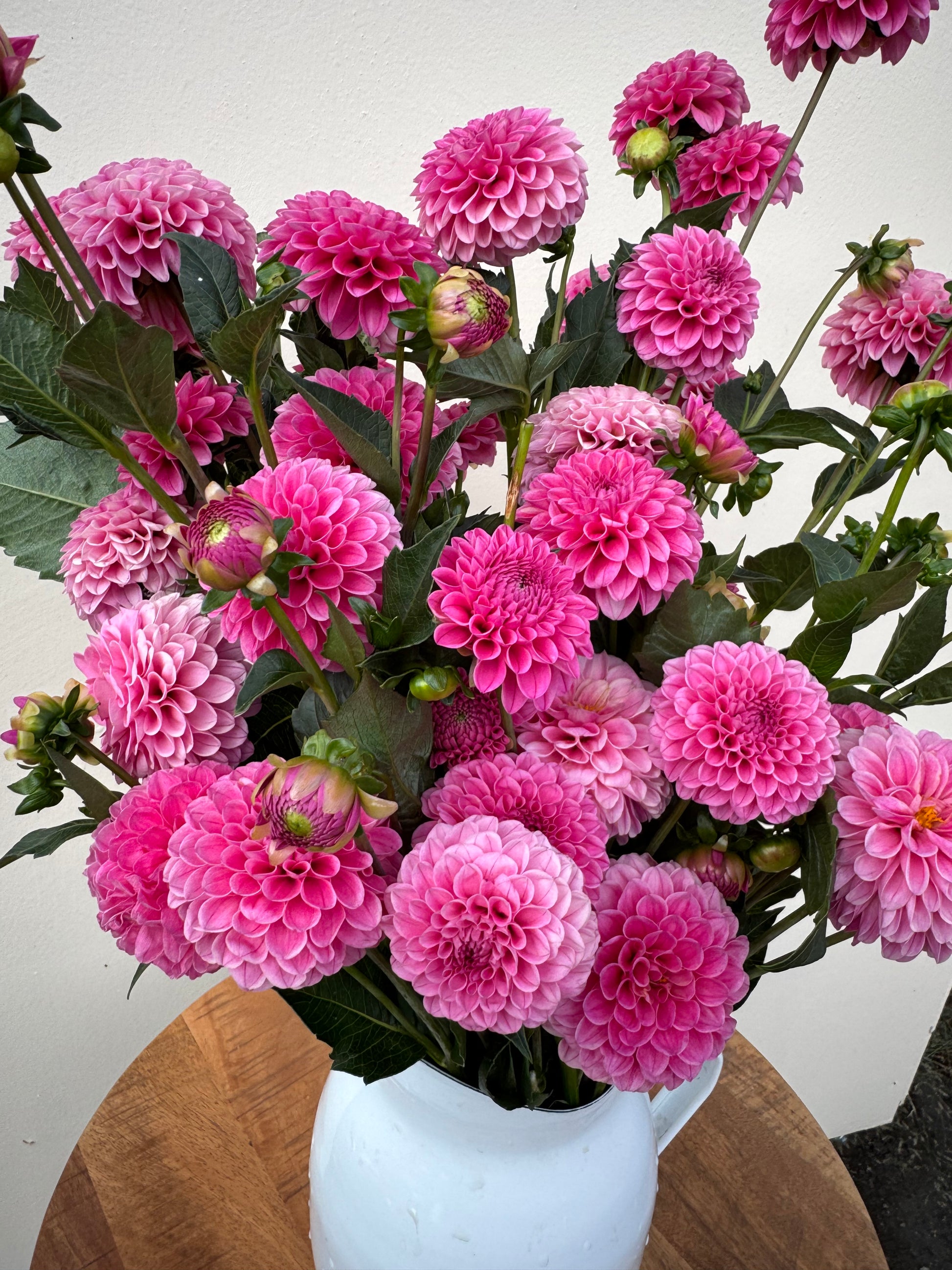 Bouquet of pink Rebecca Lynn dahlias with a wooden surface and white vase in the background
