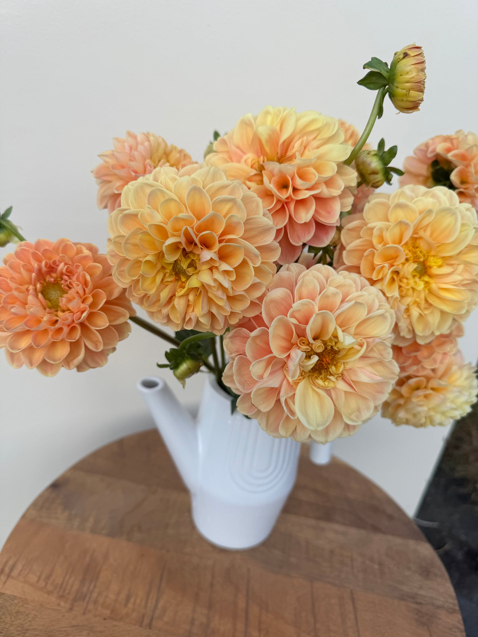 A bouquet of Crichton Honey dahlias.