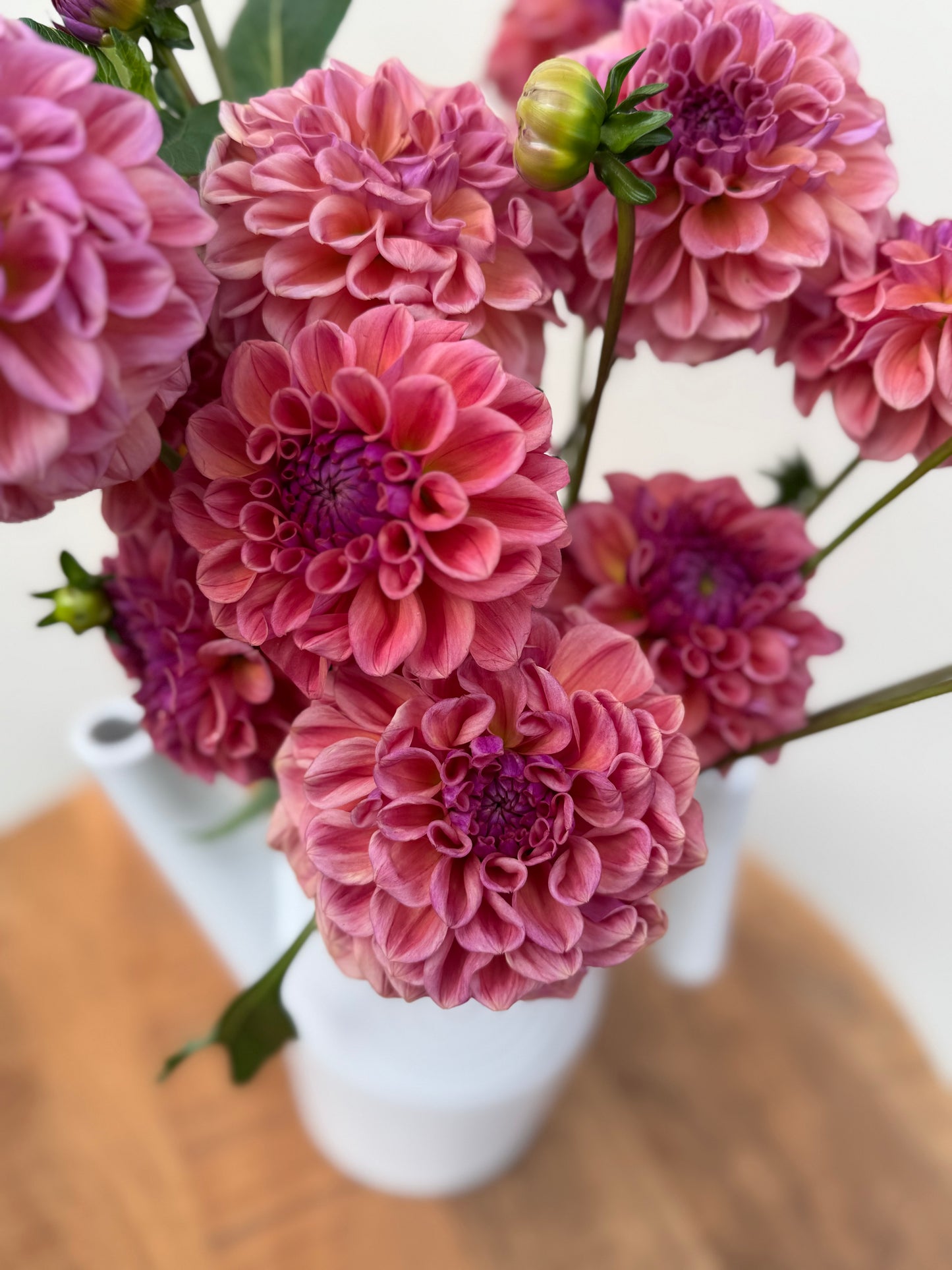 A bouquet of Chewy dahlias.