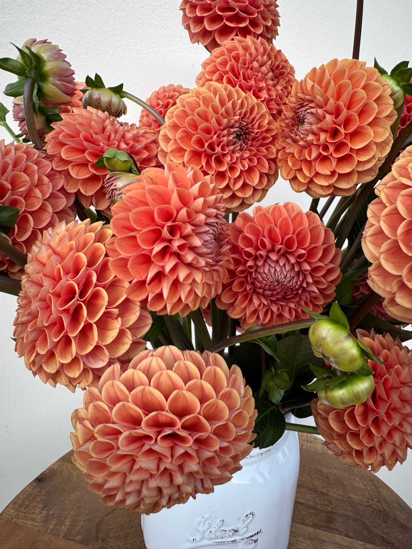 A bouquet of Cornel Bronze dahlias with orange petals and hints of gold at the tips.