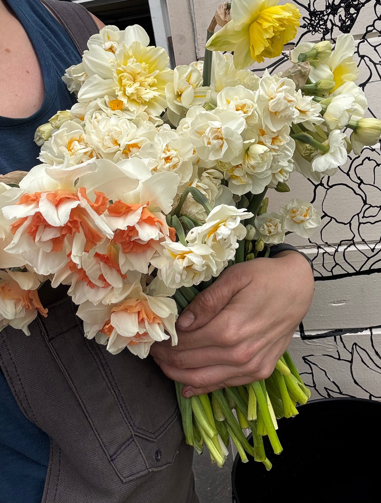 Mixed bundle of daffodils (20 bulbs)