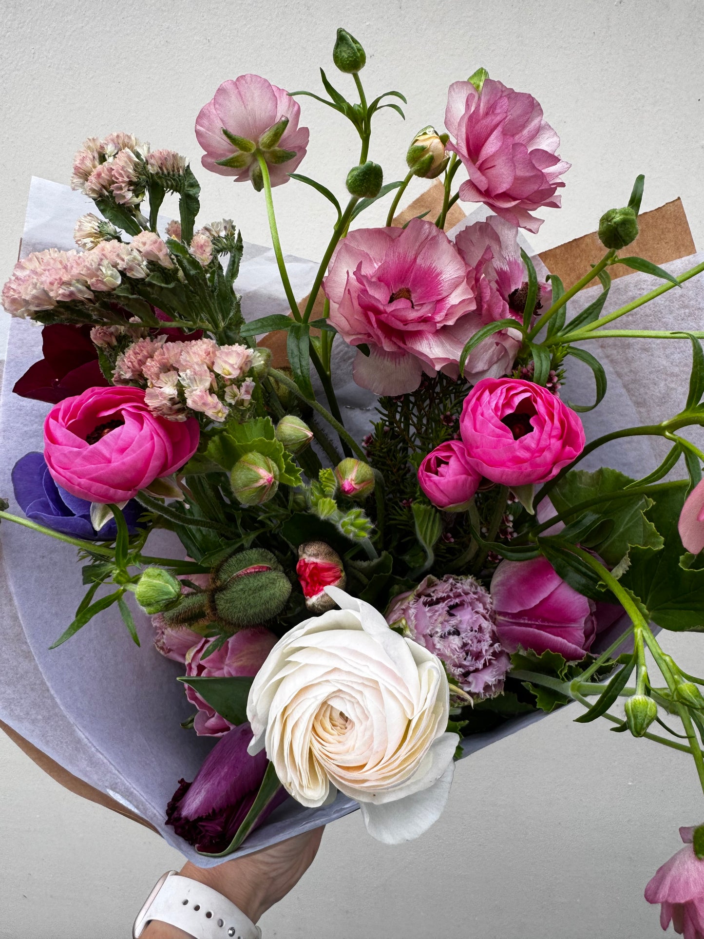 Butterfly Ranunculus - Hera (5 corms)