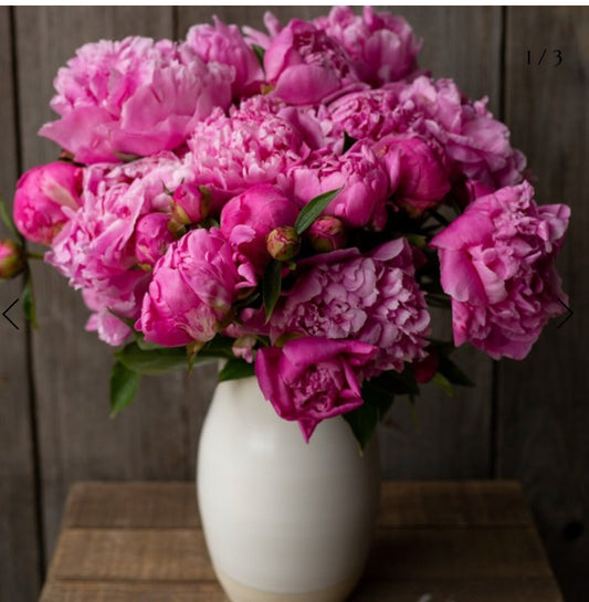 Three-peony bundle