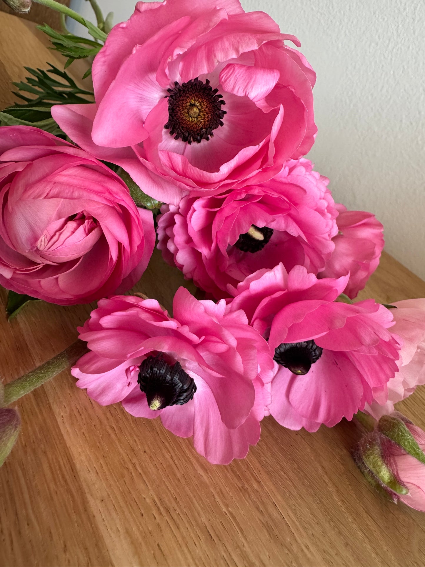 Ranunculus pink mix (10 corms)
