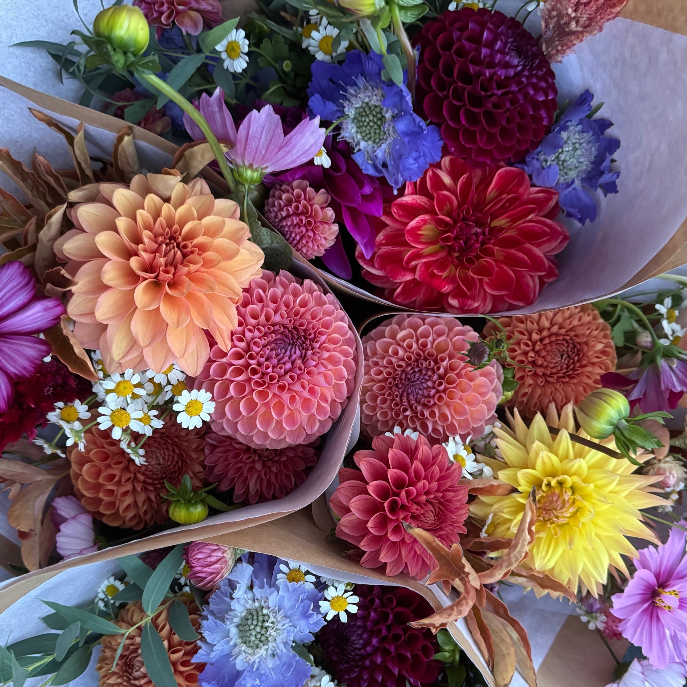 Bouquets of colorful fall flowers in a paper bouquet wraps