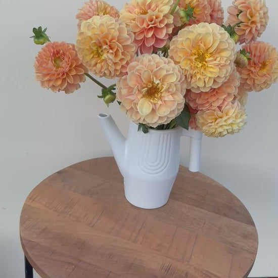A video of a bouquet of Crichton Honey dahlias.