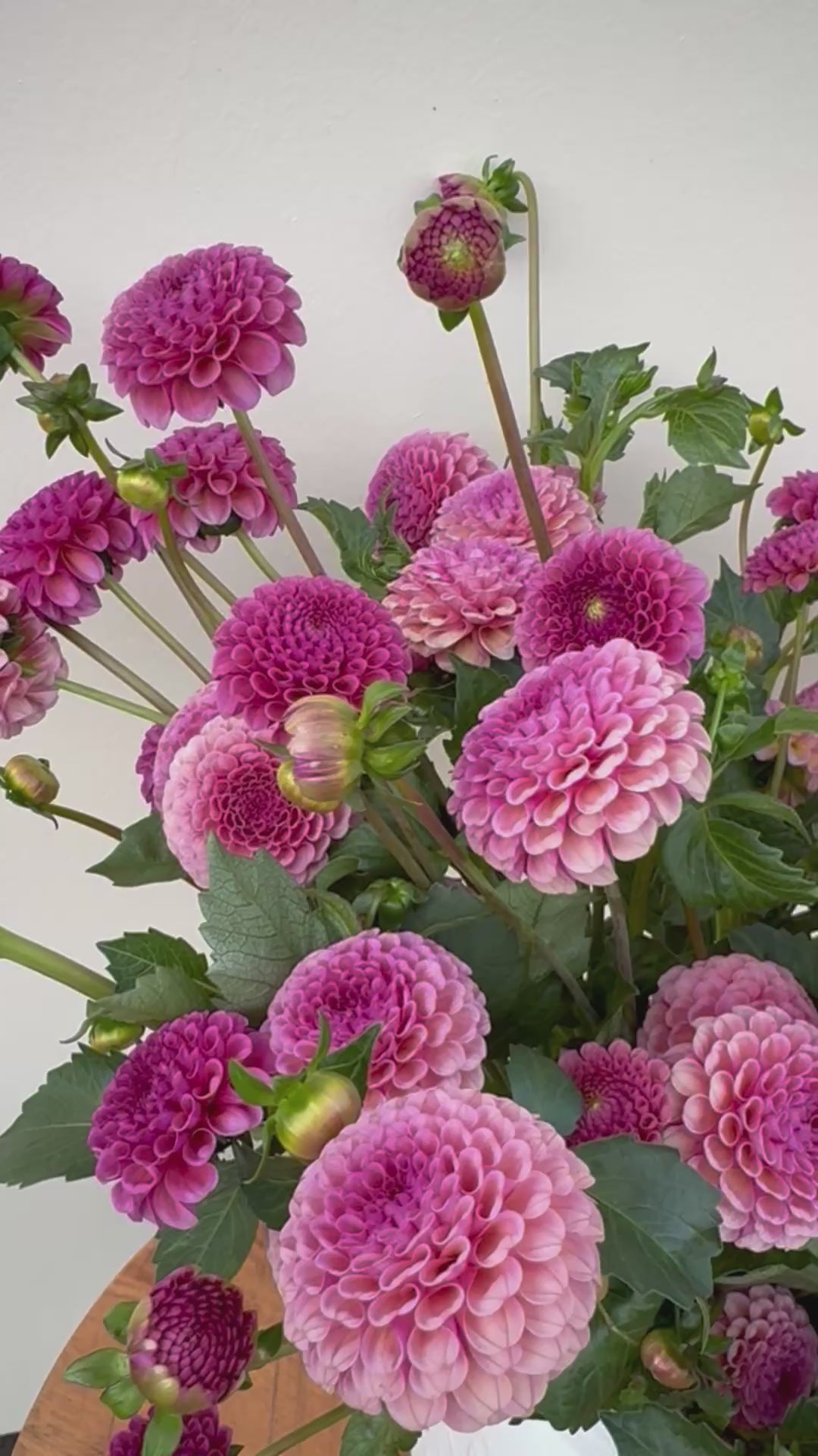 A video of a bouquet of Koko Puff dahlias