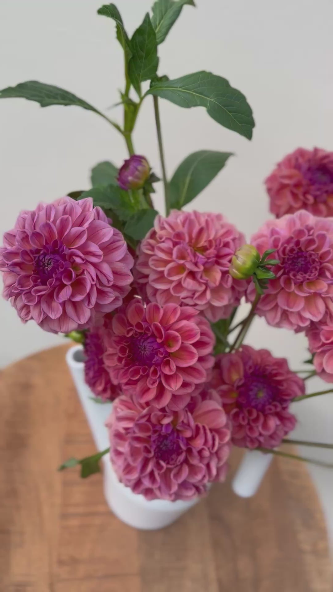 A video of a bouquet of Chewy dahlias.